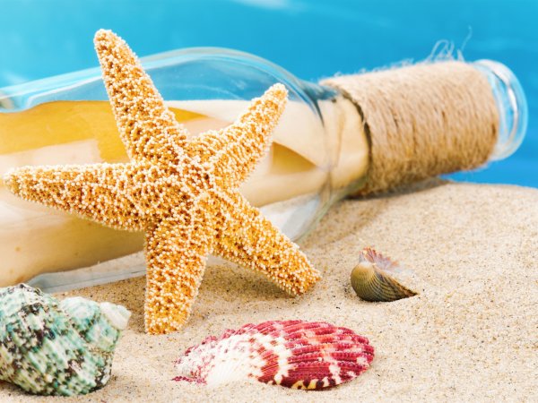 Морская звезда на песке