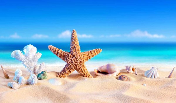 Морской фон