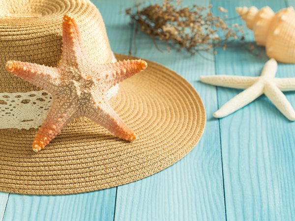 Морская звезда - Starfish