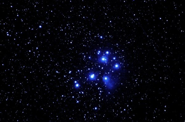 Плеяды нимфы