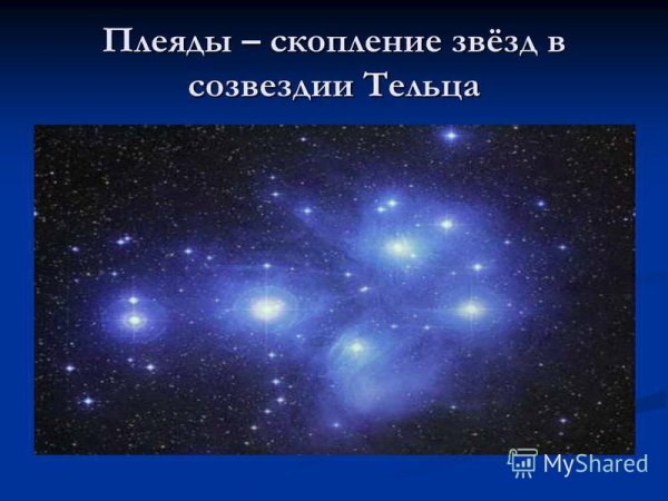 Звезда Гиады