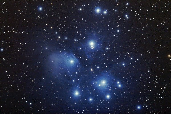 Плеяды тельца