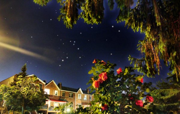 Летняя ночь