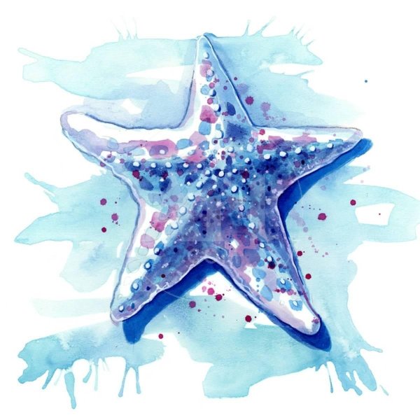 Морская звезда акварель