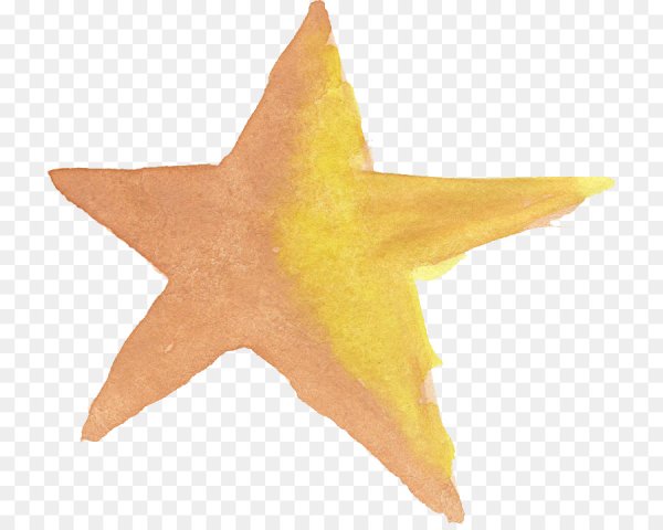 Море звезды акварель