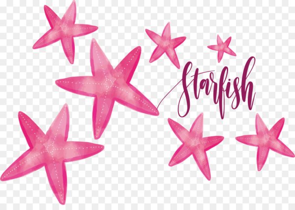 Акварельные иллюстрации звезды