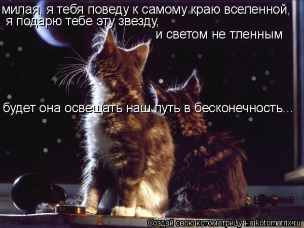 Дарю тебе звезду мультфильм 1974