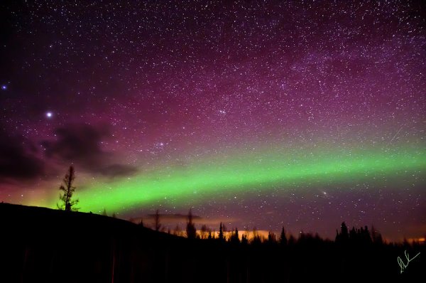 Aurora звезда