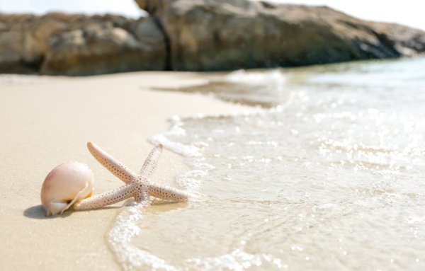 Доминикана Саона морские звезды