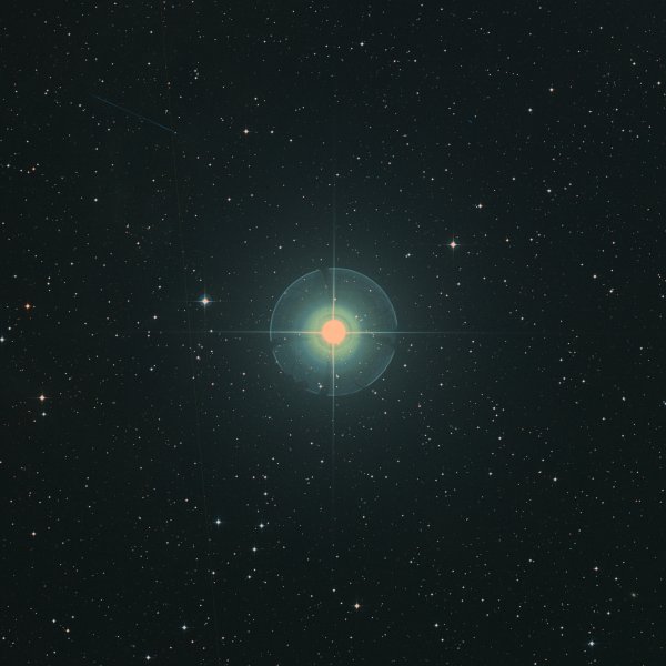 Денеб звезда в созвездии