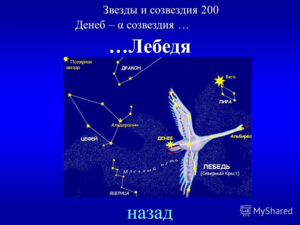 Созвездие лебедь Денеб
