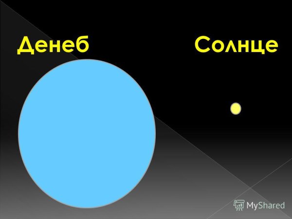 Денеб Альгеди звезда