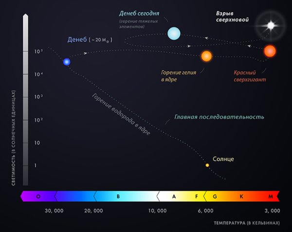 Звезды Вега Альтаир и Денеб