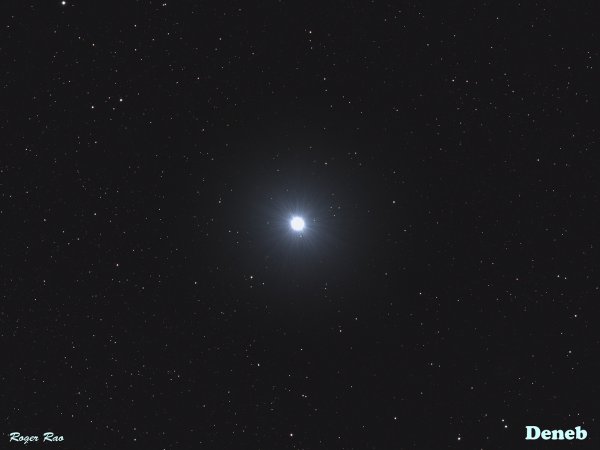 Денеб Созвездие