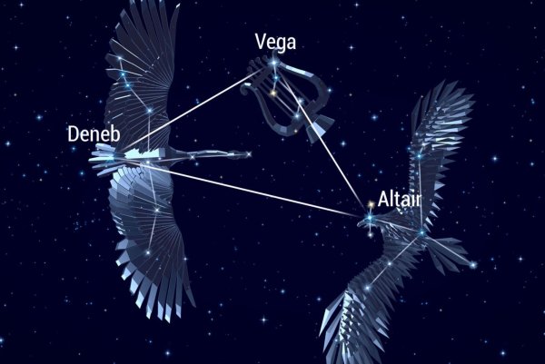 Денеб звезда