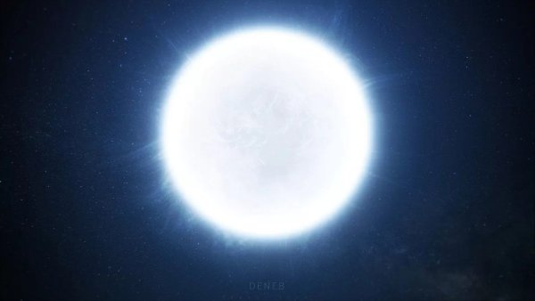 Альбирео звезда в созвездии