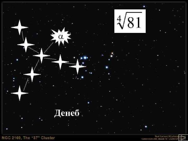 Созвездие лебедь Альфа и бета