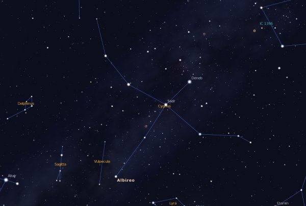 Созвездие лебедь звезды