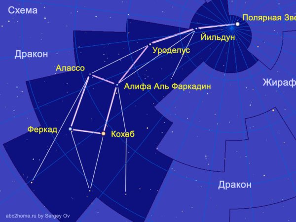 Большая и малая Медведица Полярная звезда