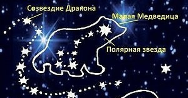 Полярная звезда в созвездии малой медведицы