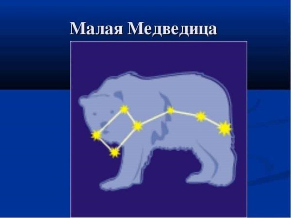 Полярная Медведица Созвездие