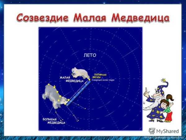 Белая Медведица звезды