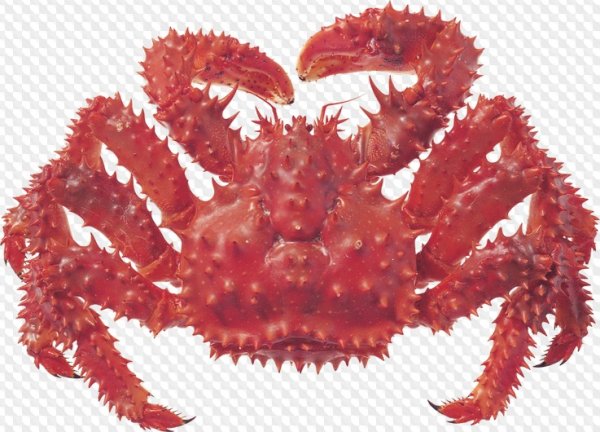 Краб из фетра