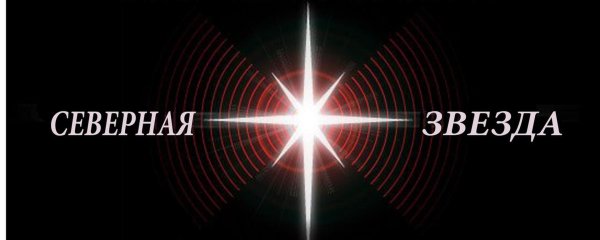 Северная звезда логотип