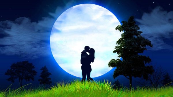 Свидание со звездой фильм 2004