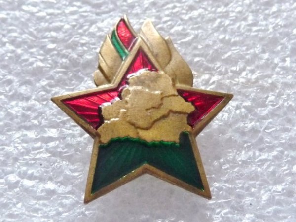 Атрибуты Октябрят