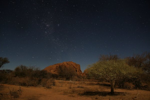 Саванны Африки ночью