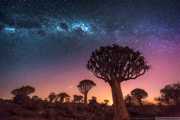 Звездное небо в Намибии Антон Птушкин