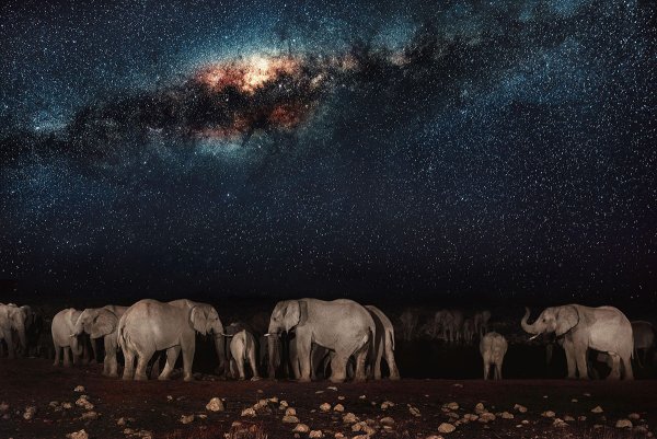 Ночное небо в Африке