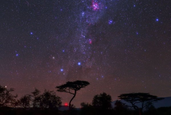 Созвездие Южный крест в Занзибаре