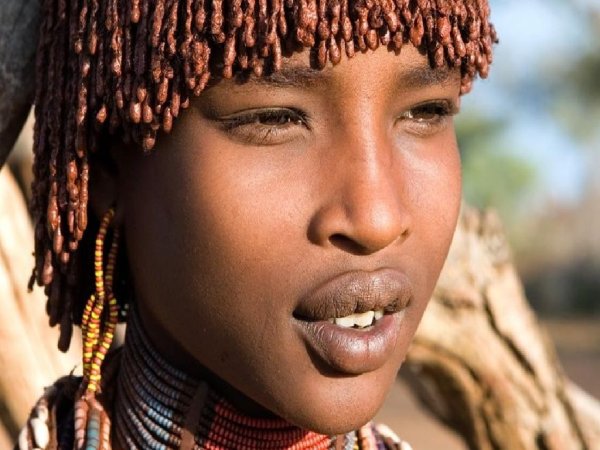 Звездное небо в пустыне