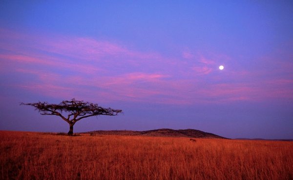 Африка ночью