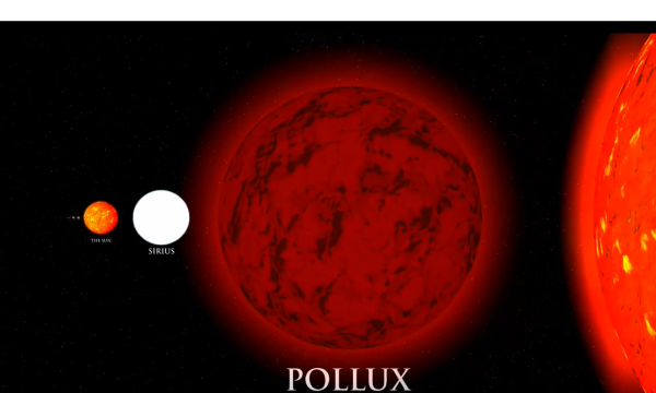 Поллукс звезда