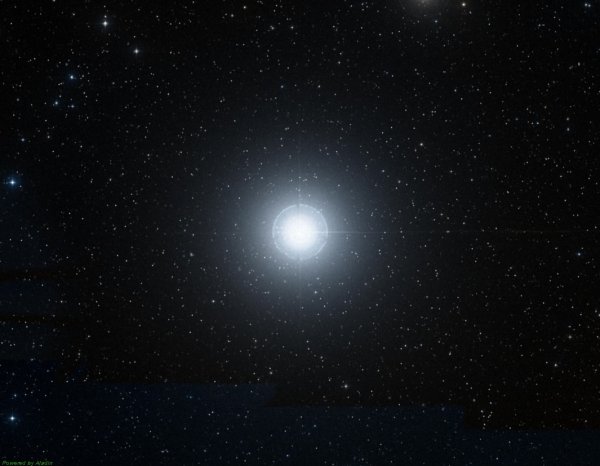 Поллукс звезда в созвездии близнецов