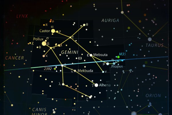 Сириус и Процион