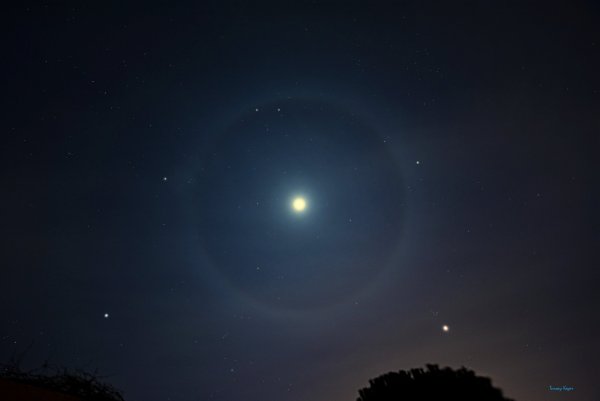 Поллукс звезда