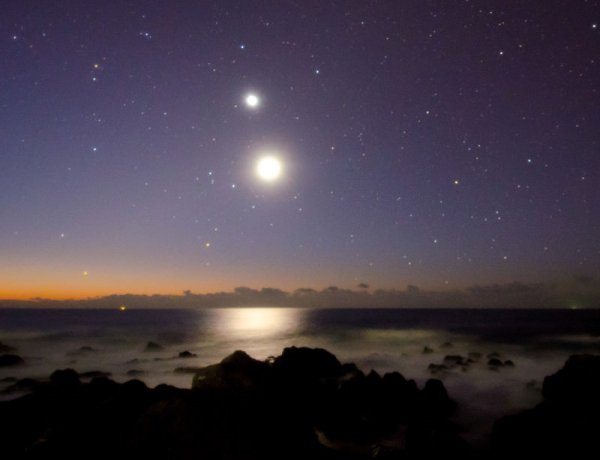 Звезды утром