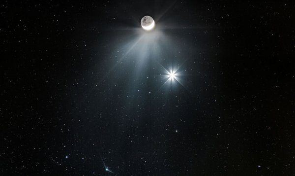 Звезда Венеры