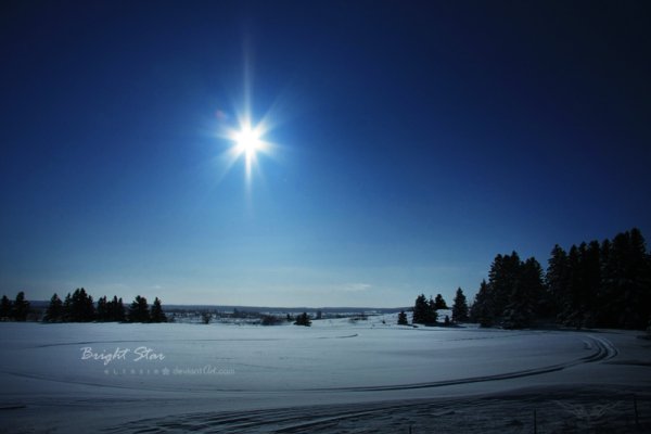 Сияние утренней звезды