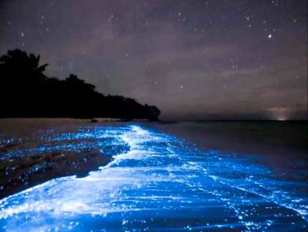 Звездное небо и море