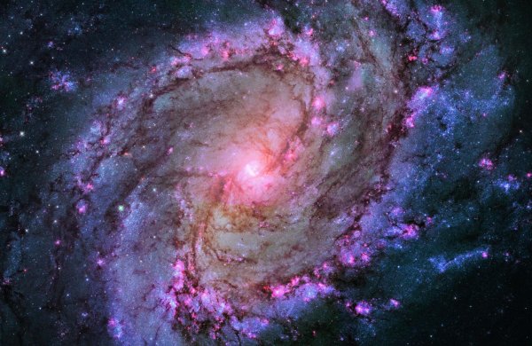 Ic 1396
