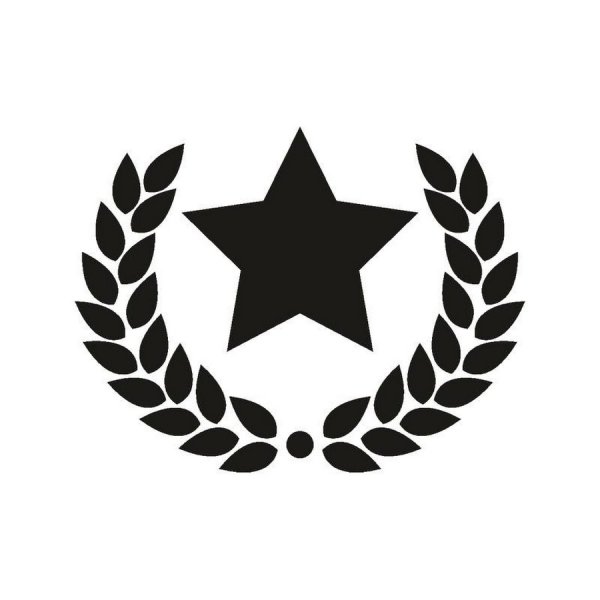 Красная звезда с георгиевской лентой