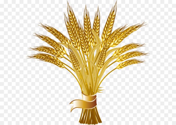 Наклейка Колос