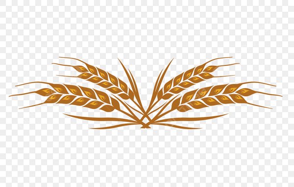 Венок из колосьев геральдика