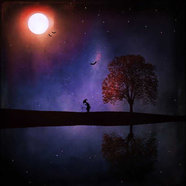 Прекрасной весенней ночи