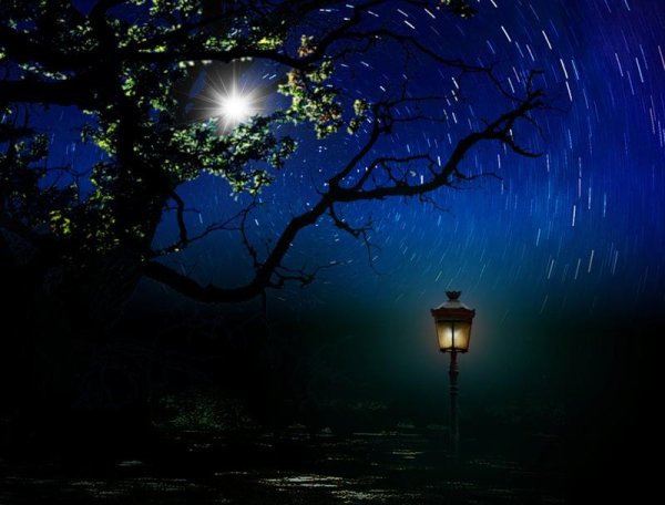 Майская ночь Луна